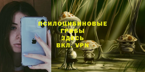 таблы Алексеевка