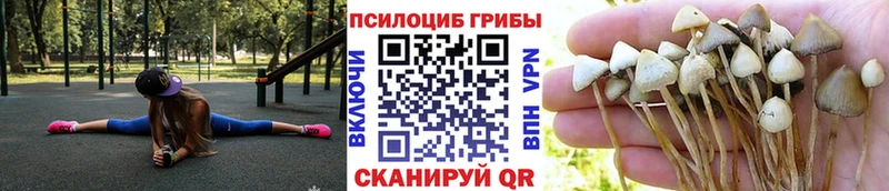 Псилоцибиновые грибы MAGIC MUSHROOMS  Руза 